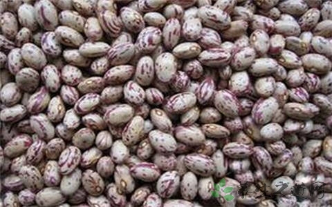花豆的营养价值_吃花豆的好处