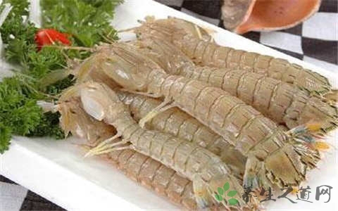 虾婆婆的营养价值_吃虾婆婆的好处