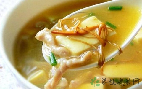 虫草花的吃法_哪些人不能吃虫草花 虫草花的吃法_哪些人不能吃虫草花