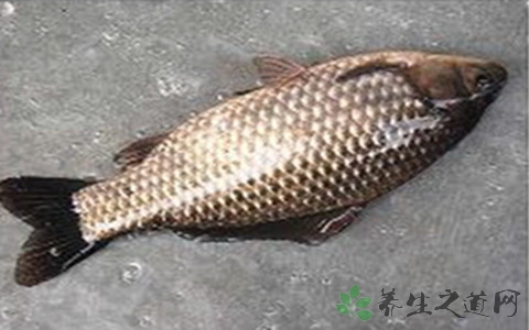 鲫鱼要去鳞吗