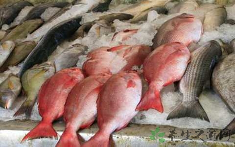 红衫鱼的营养价值_吃红衫鱼的好处
