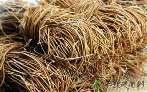 鸡骨草的营养价值_吃鸡骨草的好处