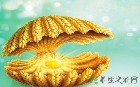 小麦胚芽油的吃法_哪些人不能吃小麦胚芽油