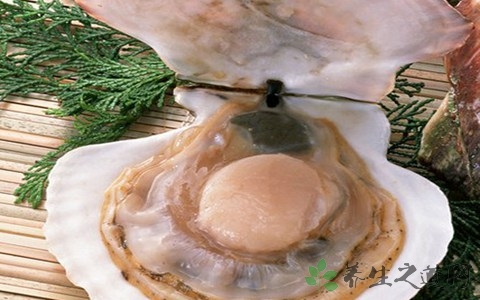 瑶柱的营养价值_吃瑶柱的好处