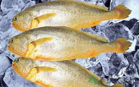 黄花鱼的营养价值_吃黄花鱼的好处