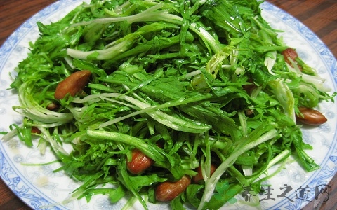 苦菜的吃法_哪些人不能吃苦菜 苦菜的吃法_哪些人不能吃苦菜