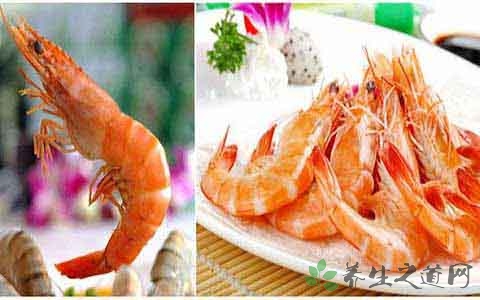 长毛对虾的吃法_哪些人不能吃长毛对虾