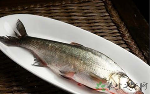 白姑鱼的吃法_哪些人不能吃白姑鱼