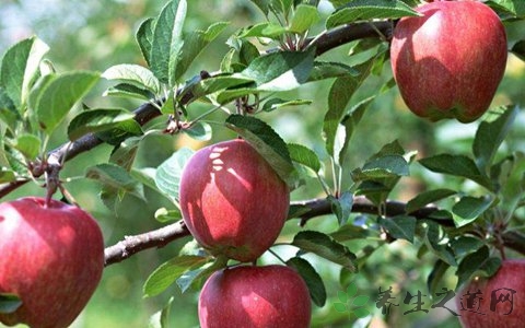 苹果切开后怎么保存