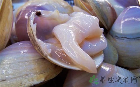 西施舌的吃法_哪些人不能吃西施舌
