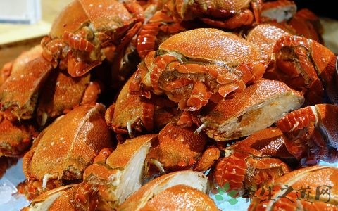 螃蟹怎么保存在冰箱 螃蟹怎么保存在冰箱
