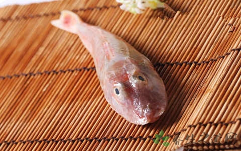 翼红娘鱼的吃法_哪些人不能吃翼红娘鱼