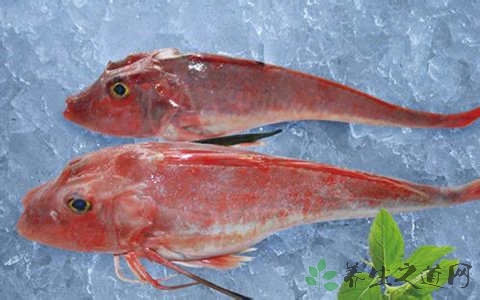 翼红娘鱼的吃法_哪些人不能吃翼红娘鱼