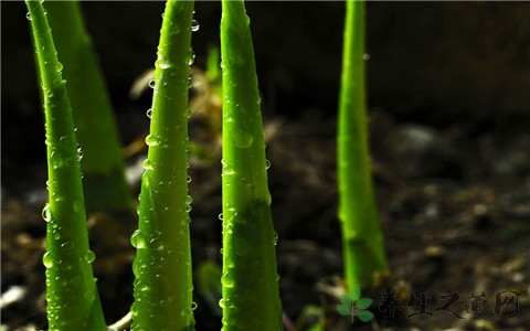 春笋怎么做好吃