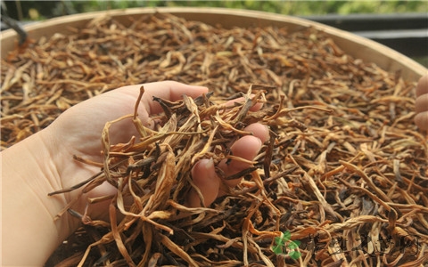 黄花菜要焯水吗