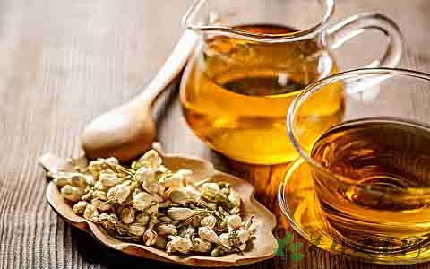 茉莉花茶的吃法_哪些人不能吃茉莉花茶