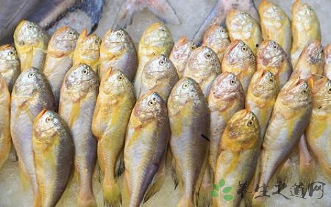 丁珠鱼的营养价值_吃丁珠鱼的好处 丁珠鱼的营养价值_吃丁珠鱼的好处
