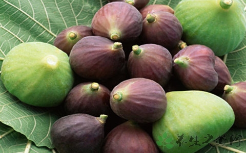 无花果是什么季节的 无花果是什么季节的