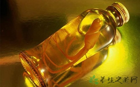 红参鹿茸泡酒配方