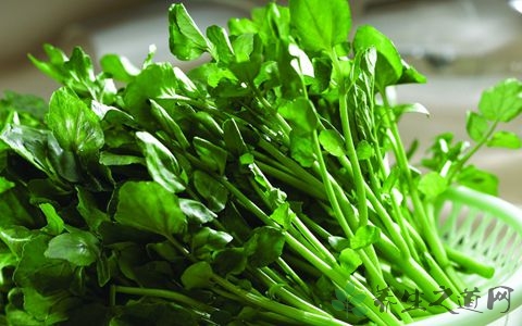 豆瓣菜的营养价值_吃豆瓣菜的好处