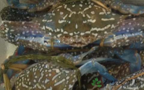 蒸螃蟹的家常做法 蒸螃蟹的家常做法