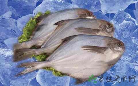 刺鲳的营养价值_吃刺鲳的好处