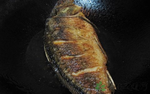 怎么煎鱼不会烂