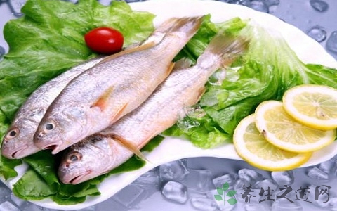 大头仔鱼的营养价值_吃大头仔鱼的好处 大头仔鱼的营养价值_吃大头仔鱼的好处