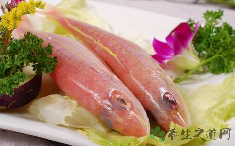 红衫鱼的营养价值_吃红衫鱼的好处