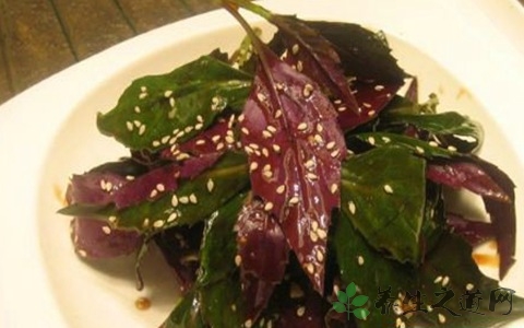 补血菜的营养价值_吃补血菜的好处