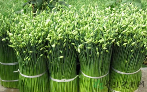 韭菜花的吃法_哪些人不能吃韭菜花