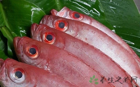 大目鱼的营养价值_吃大目鱼的好处 大目鱼的营养价值_吃大目鱼的好处