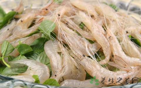 白米虾的营养价值_吃白米虾的好处