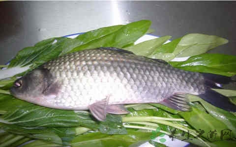 花鲫鱼的吃法_哪些人不能吃花鲫鱼