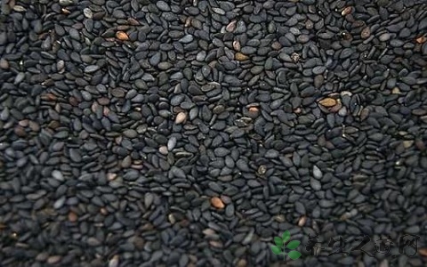 黑芝麻需要炒熟吗