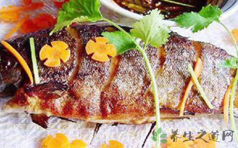 堤鱼的营养价值_吃堤鱼的好处