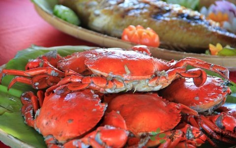 新鲜螃蟹怎么保存