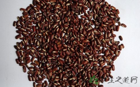 赤小豆的吃法_哪些人不能吃赤小豆