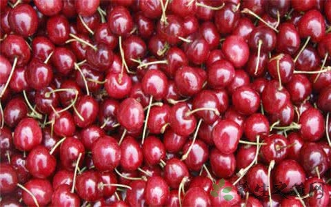 新鲜车厘子怎么保存