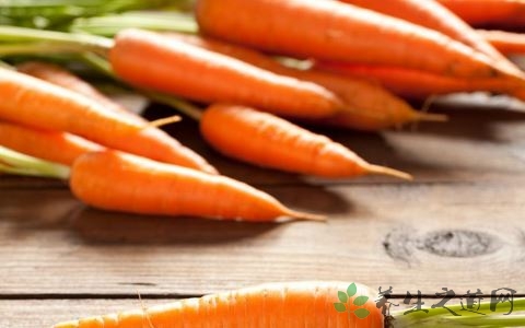 胡萝卜是什么季节的 胡萝卜是什么季节的