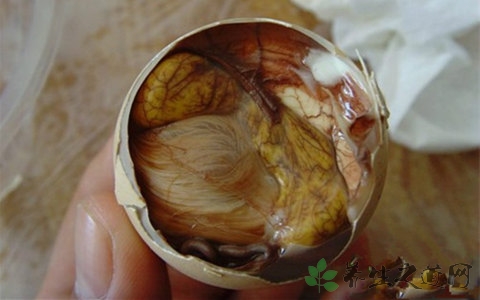 毛蛋的吃法_哪些人不能吃毛蛋