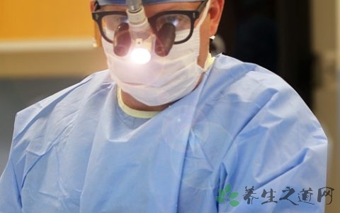 含草酸高的食物排行