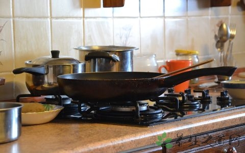 冬瓜皮薏仁汤的功效