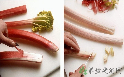 食用大黄的营养价值_吃食用大黄的好处 食用大黄的营养价值_吃食用大黄的好处