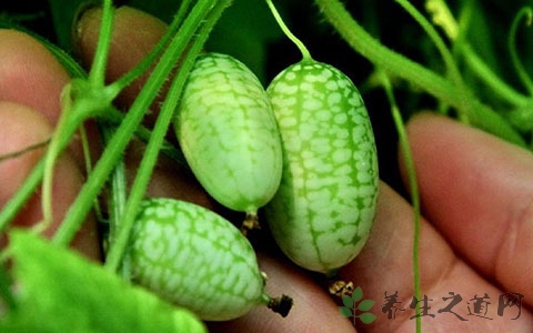 小西瓜的吃法_哪些人不能吃小西瓜