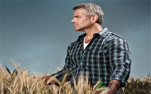 含草酸较高的食物