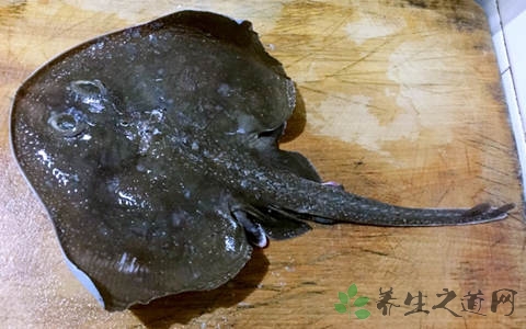 老板鱼的营养价值_吃老板鱼的好处