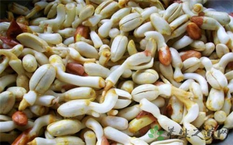 花生芽有营养吗 花生芽有营养吗