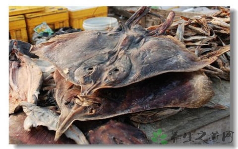 老板鱼的营养价值_吃老板鱼的好处