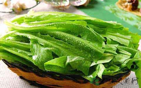 牛俐生菜的吃法_哪些人不能吃牛俐生菜